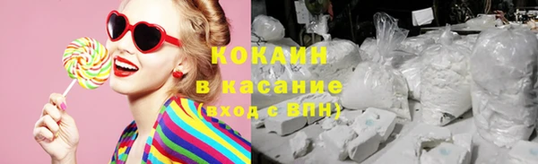 стаф Вязьма