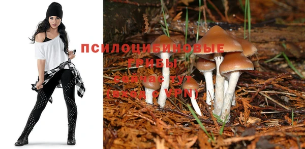 мескалин Алзамай